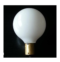 Multi Purpose Light Bulb SX 2099 AP Products  for VREXPERT ST-JEAN-SUR-RICHELIEU